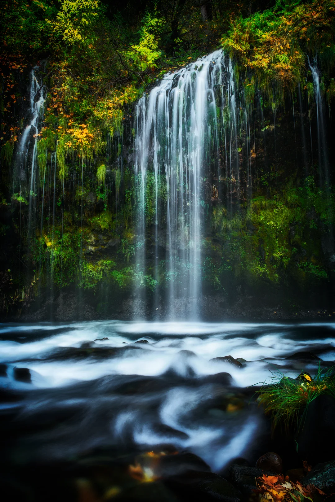 mossbrae_dark11.jpg