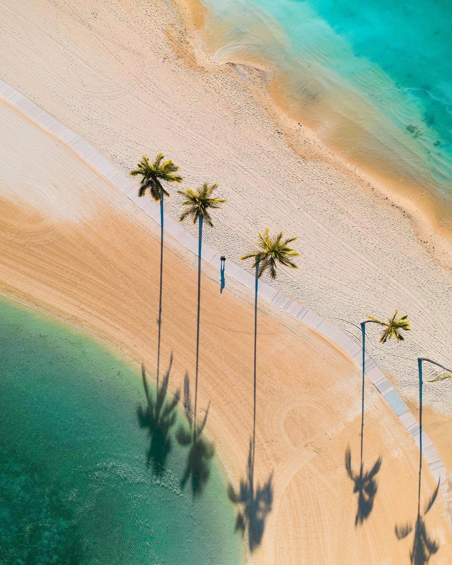 One of my favorites drone shots. I love looking at shots from the sky and seeing things from a whole new perspective. Places you've seen hundreds of times can look completely different.
.
 #hawaii #oahu #drone #aerial #lookdown #beach #palmtrees