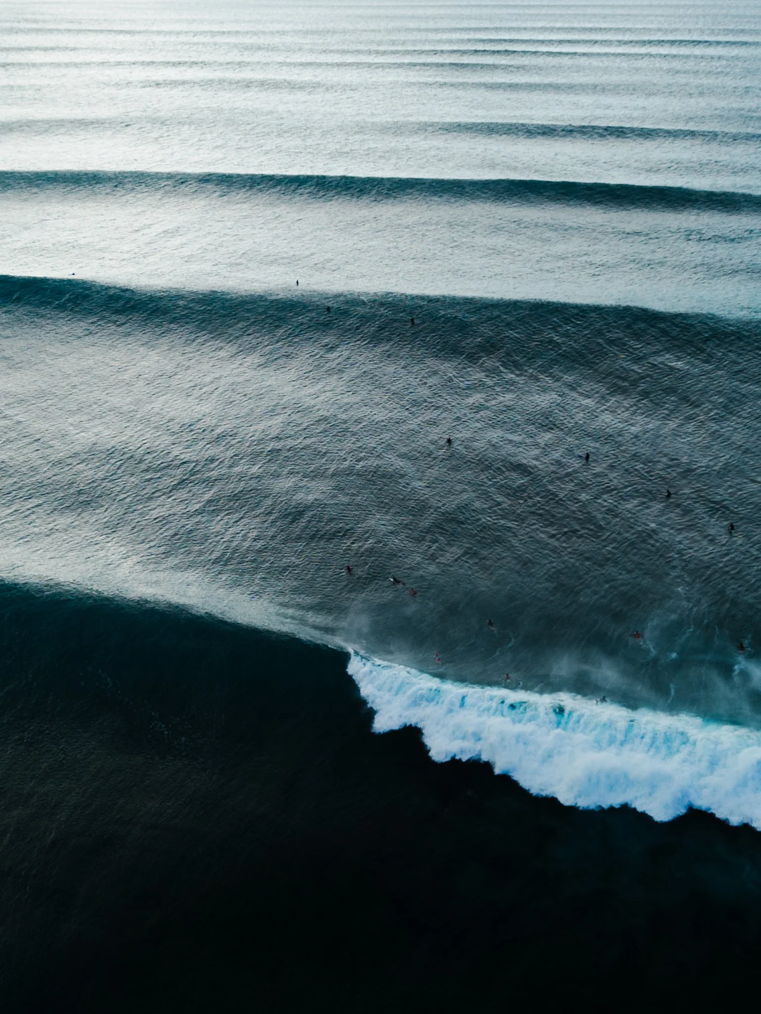 DJI_0423.jpg