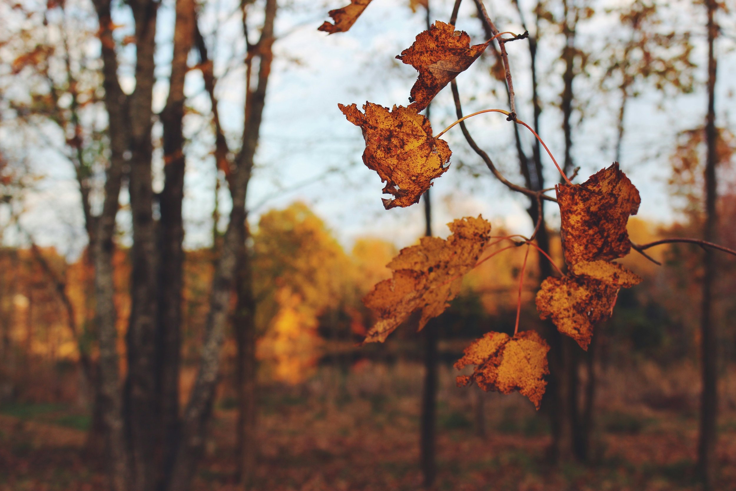 Gratitude in Action: Why We're Thankful for Our Clients (Plus a Holiday Gift Guide for Event Pros & Busy Women)