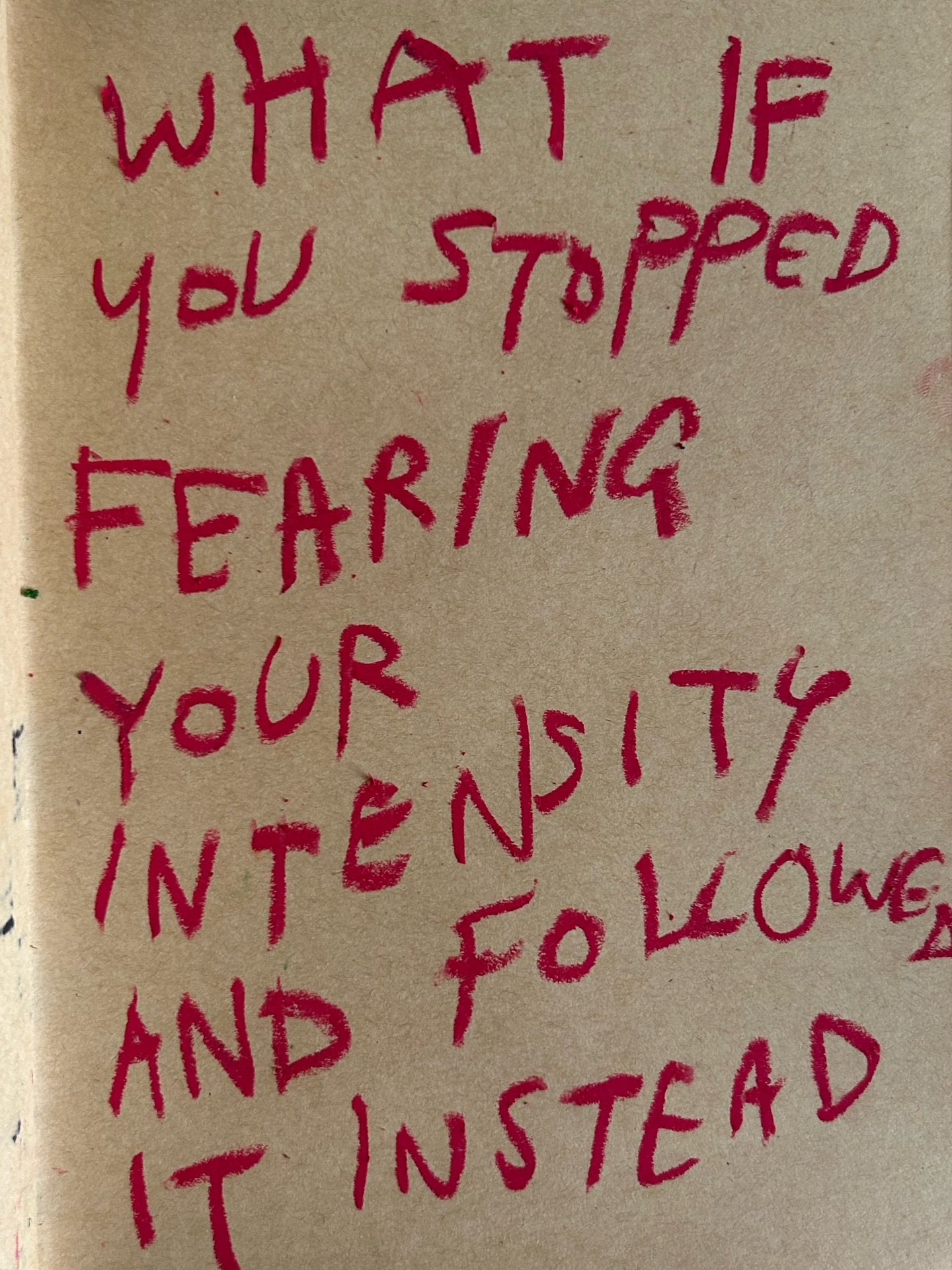 What if you stopped fearing your intensity and followed it instead? 

There is so much to explore.

Get cozy and step inside my multimedia musings &mdash; some words, drawings, animations, notes to self and observations of our ever astonishing world.