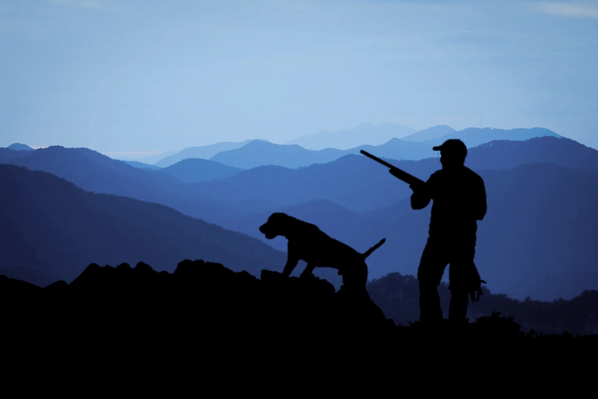 hunting-3145387_1920.jpg