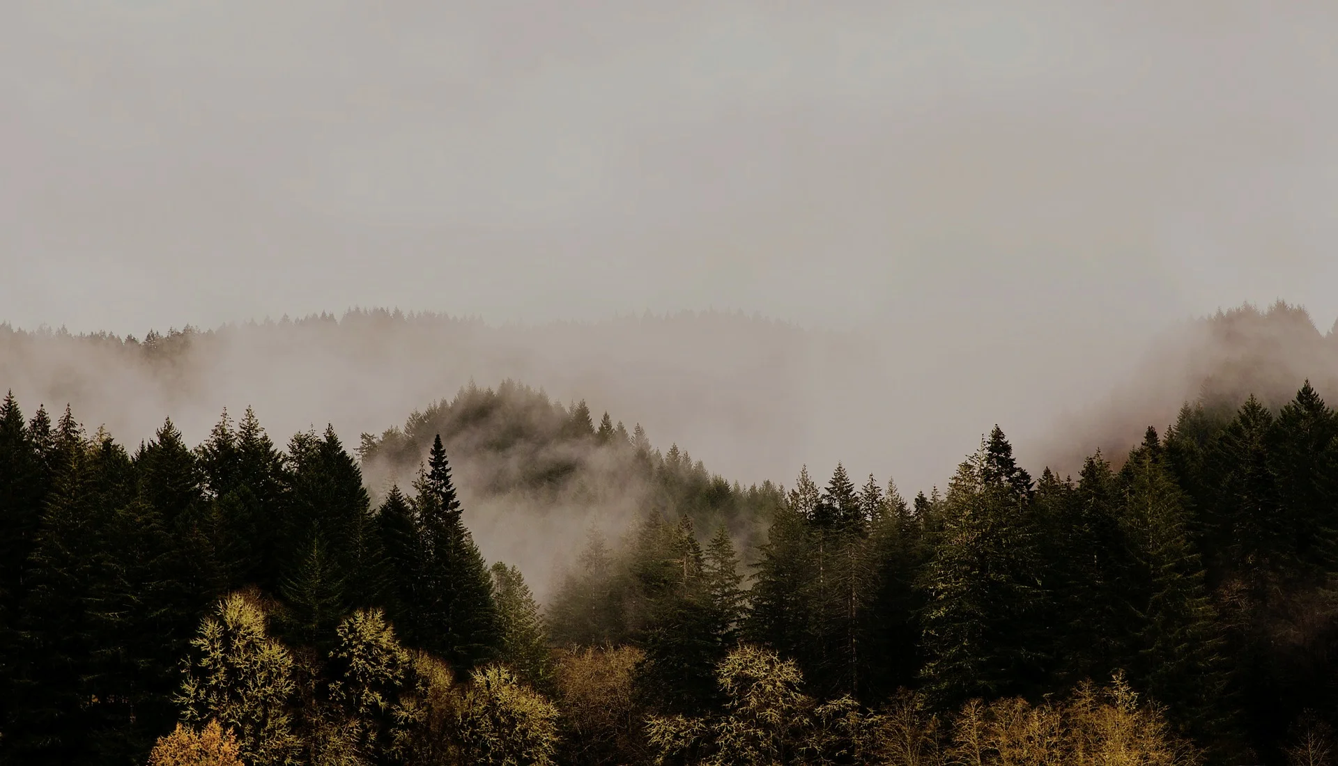 oregon-1885676_1920.jpg
