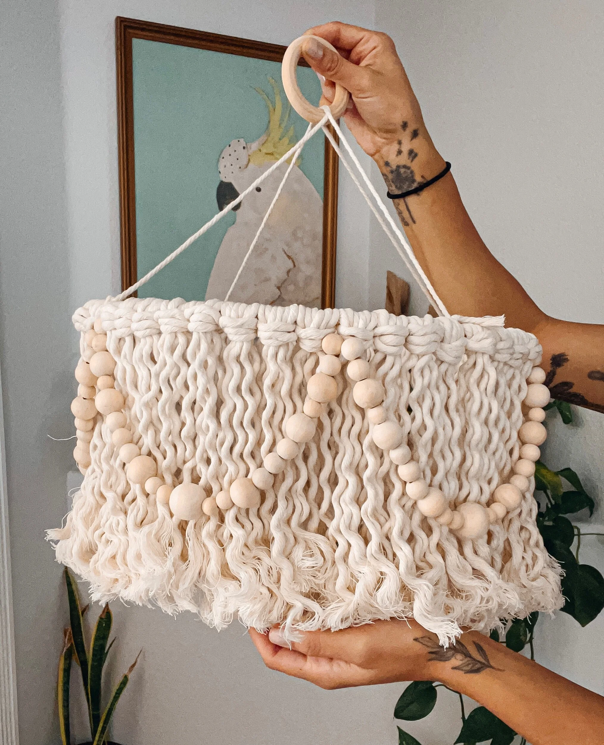 56EA2411-D6FC-4456-AB6E-C6CC6FDC7DB6