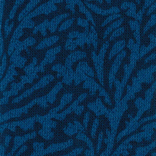 electric blue-b.jpg