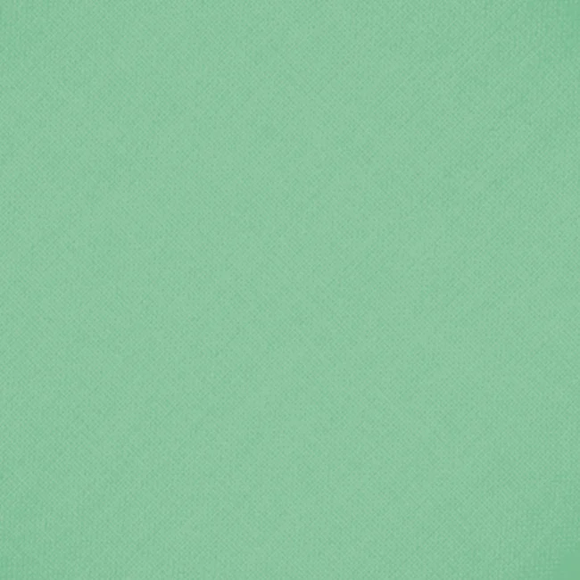 mint-11g.jpg