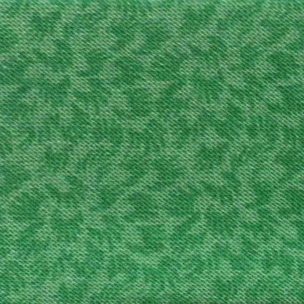 fern-12g.jpg