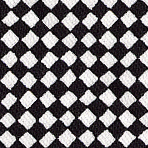 B&W check-276wk.jpg