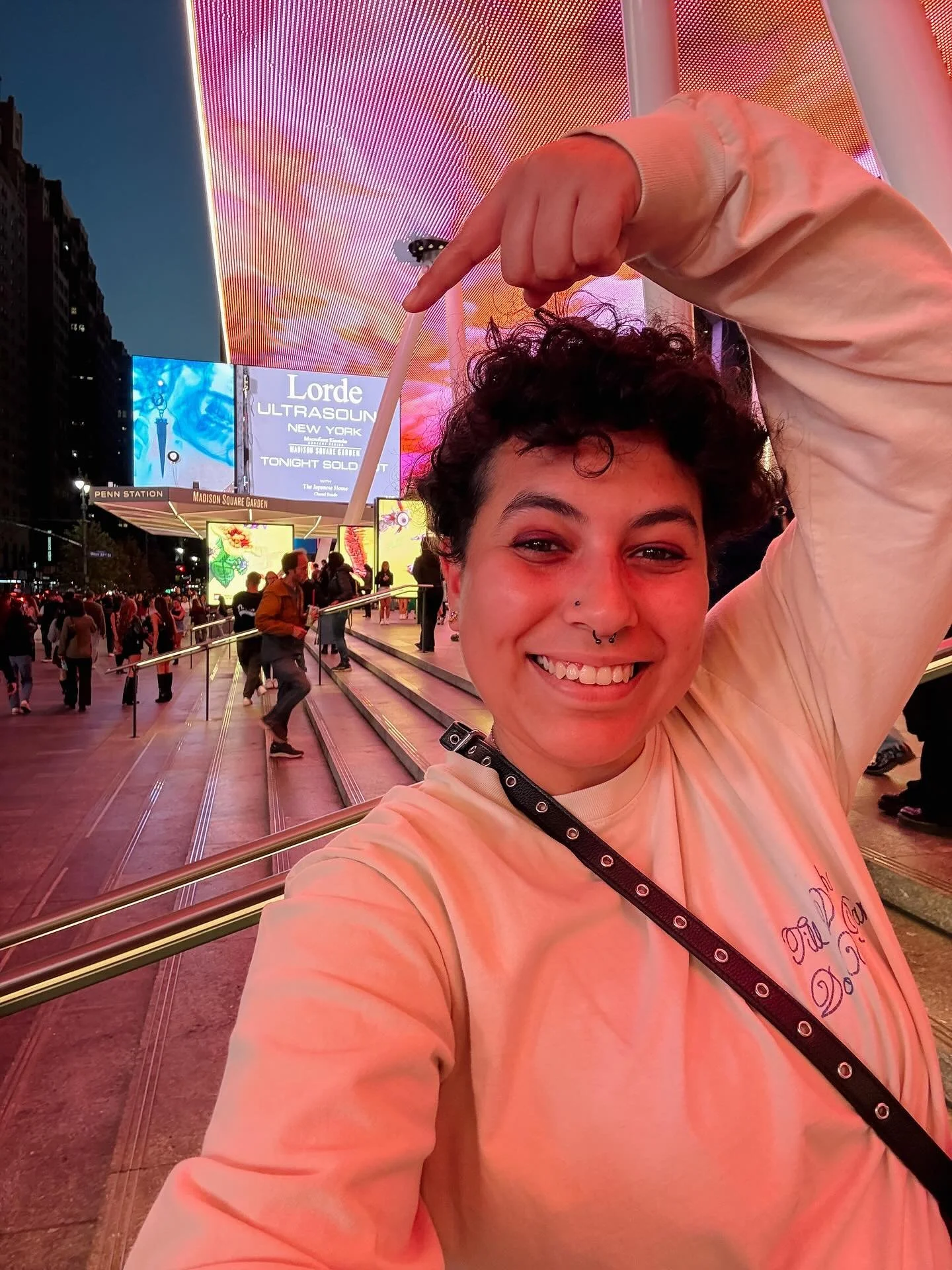 Four Albums. Four Concerts. Four life changing nights. 

I have been attending every single Lorde concert since 2014. We started at the piers. We went to Barclays. We ventured to Rockefeller. And now, we landed at MSG. 

I have been listening to Lord