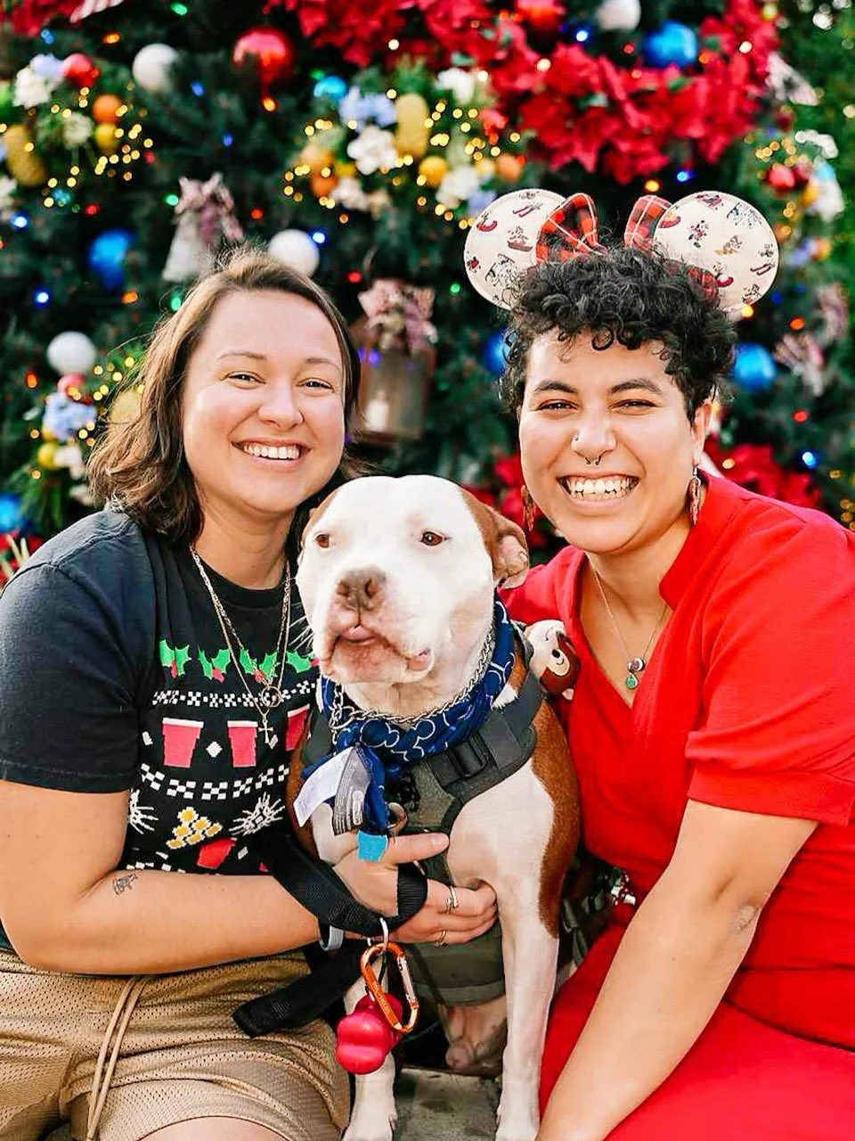 Merry Christmas from Chance and his besos! 

Note pictured: our other babies Chester and Oliver as they do not belong in a disney park lol 

Shout out the amazing photo pass cast member for getting these shots 👏

#disney #christmas #disneyphotopass 