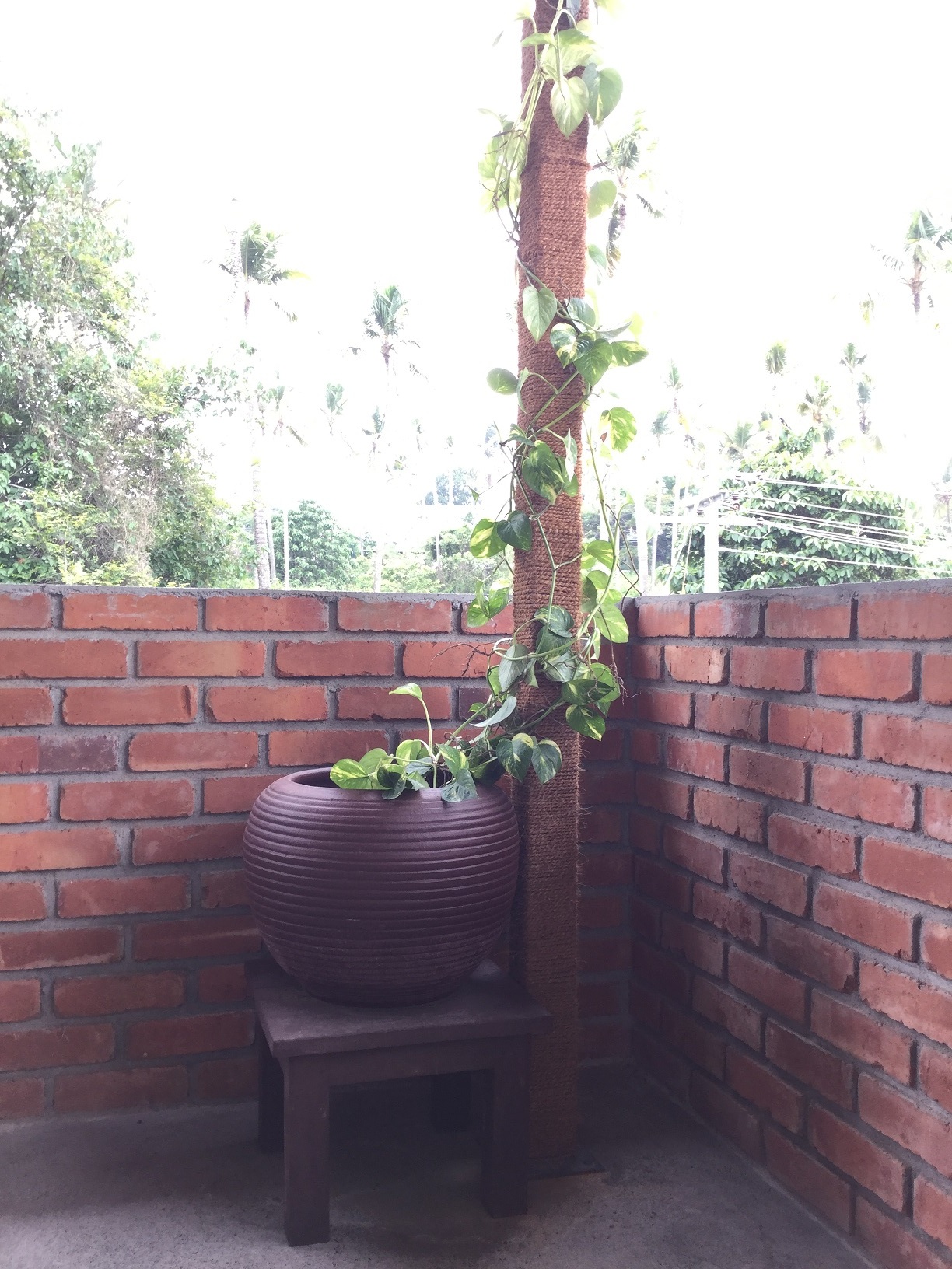 Conceptualized for a young couple with new born, house was designed for them to have bliss and peace in their lives. Concrete floors with cement finished walls and ceiling makes the framework for the family to personalise their home.
