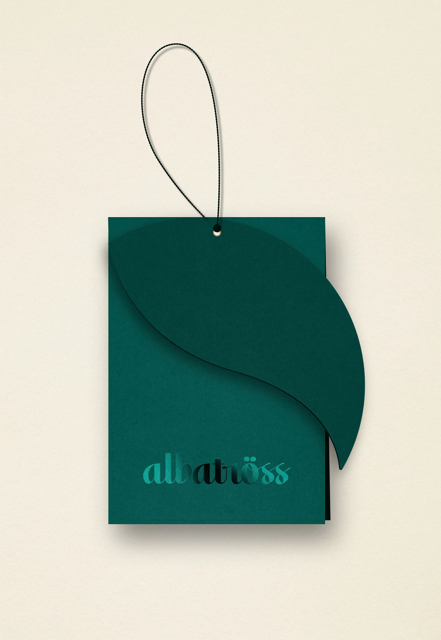 albatross cover-10.jpg