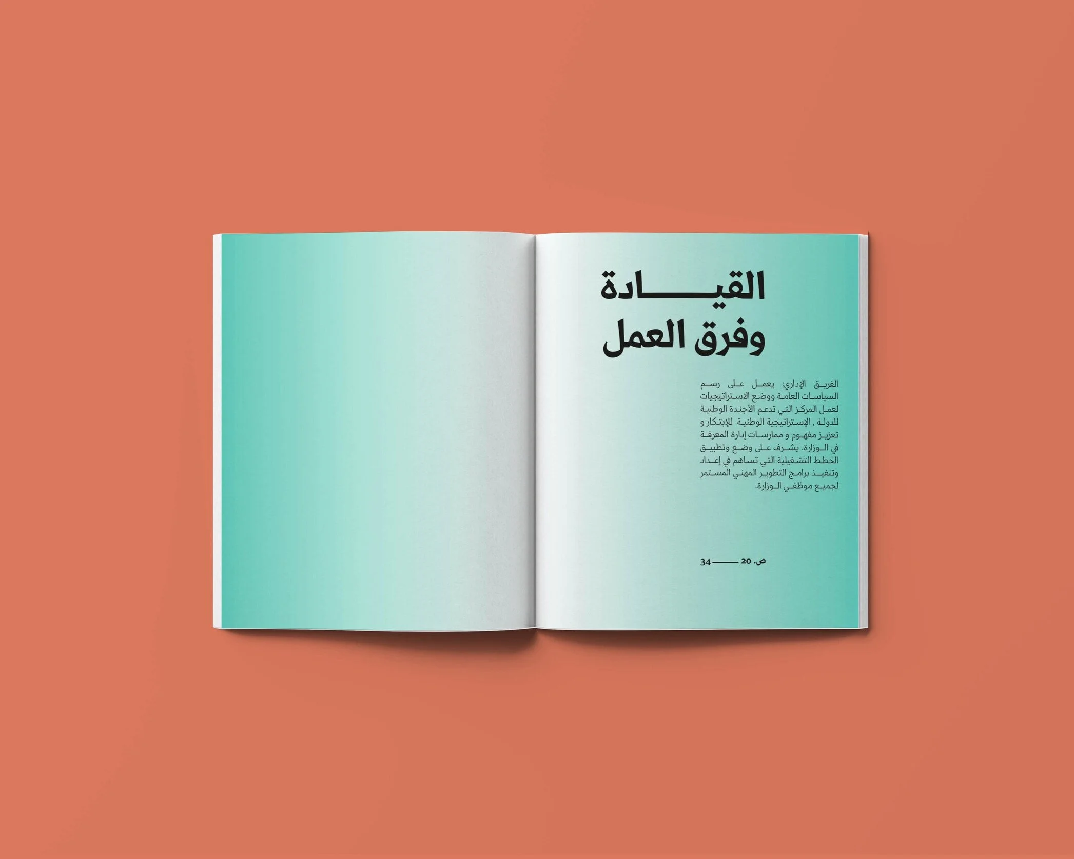 MOHAP_AR19_05.jpg