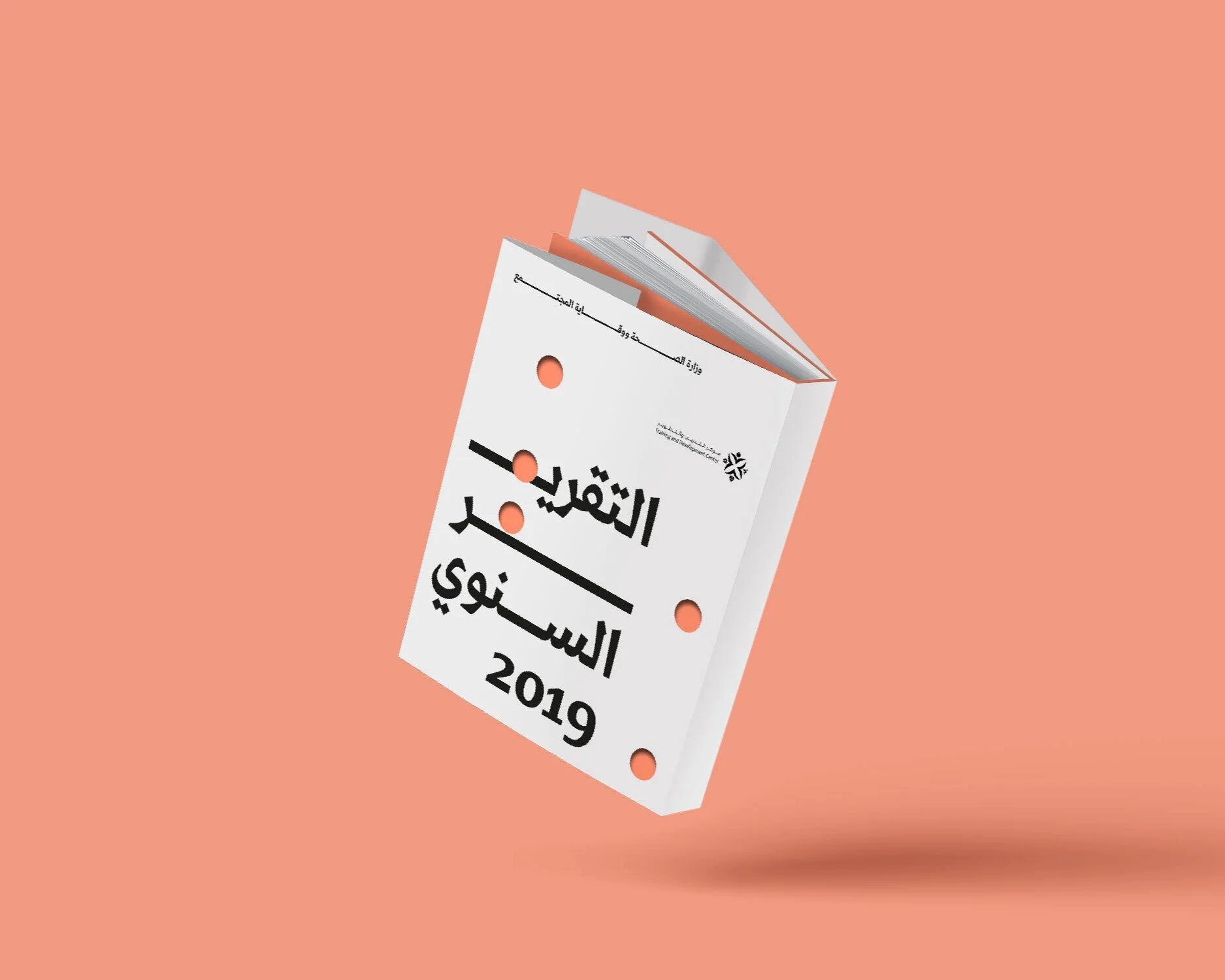 MOHAP_AR19_01.jpg