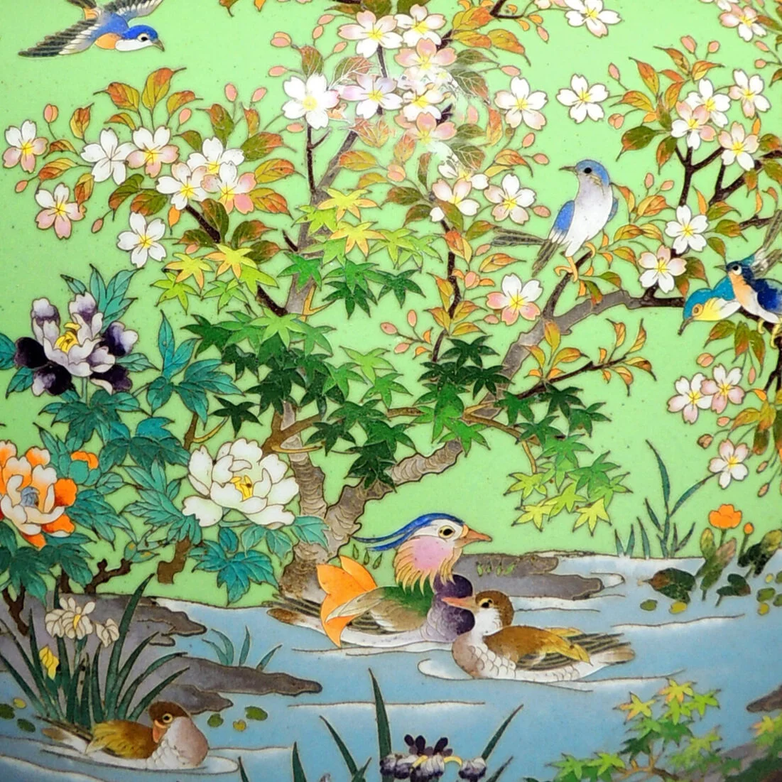 ducks+3.jpg