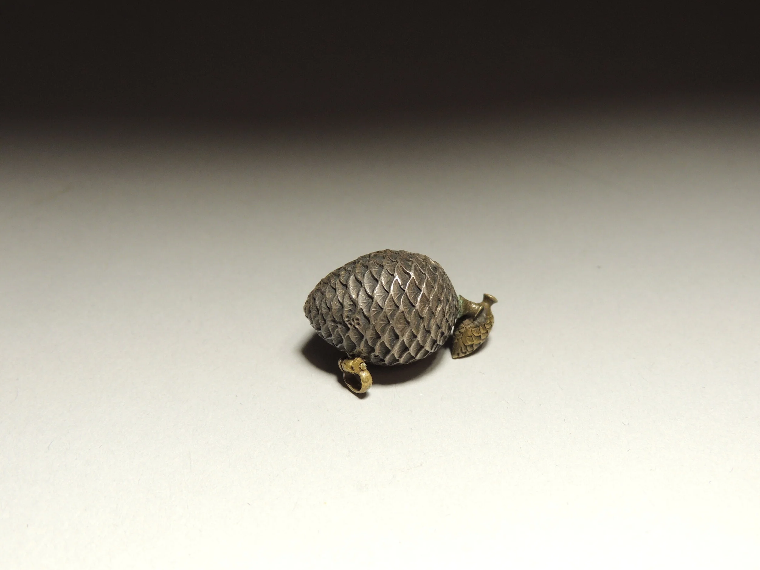DSCN5118.JPG
