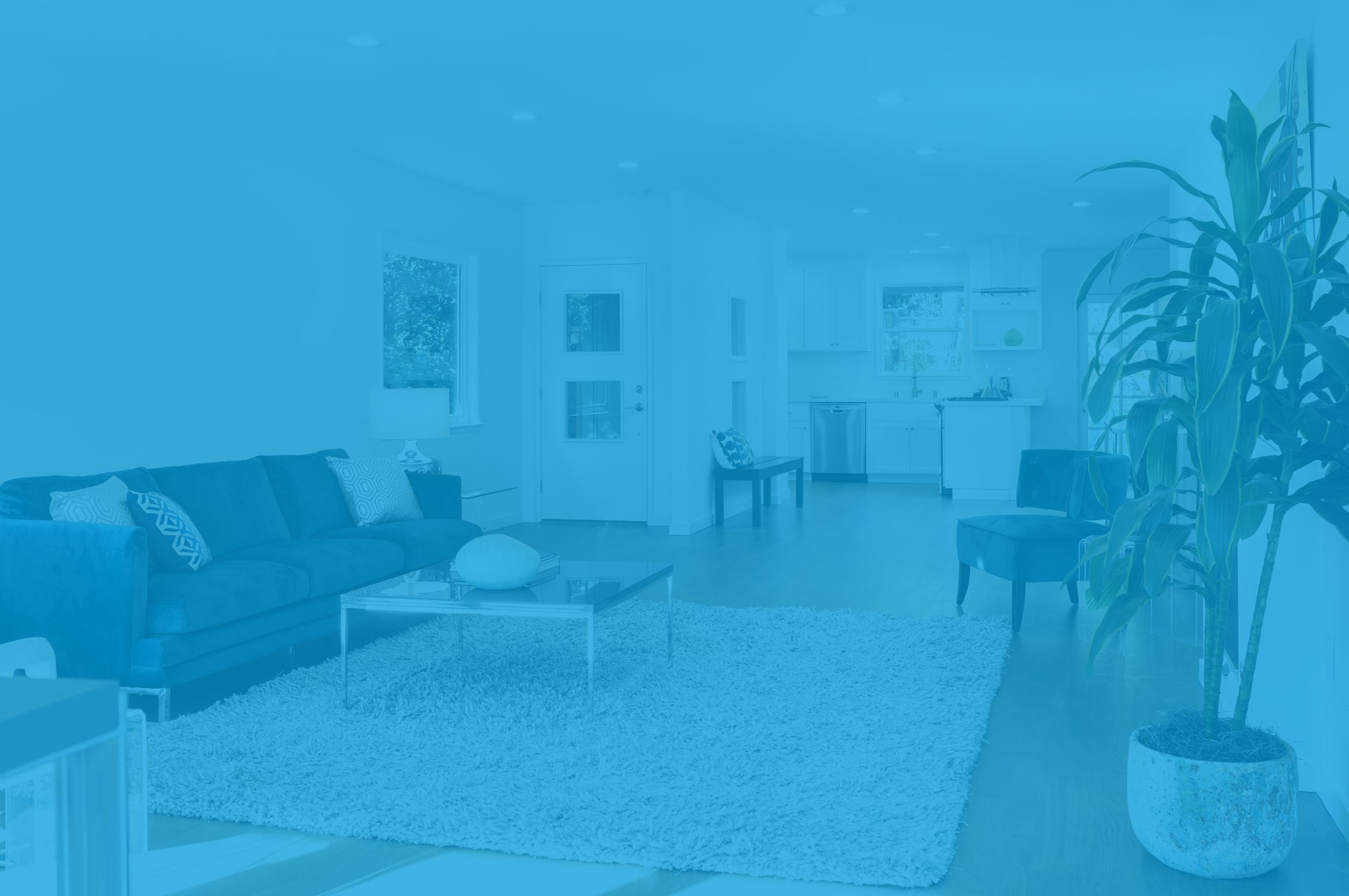 Banner V2.png