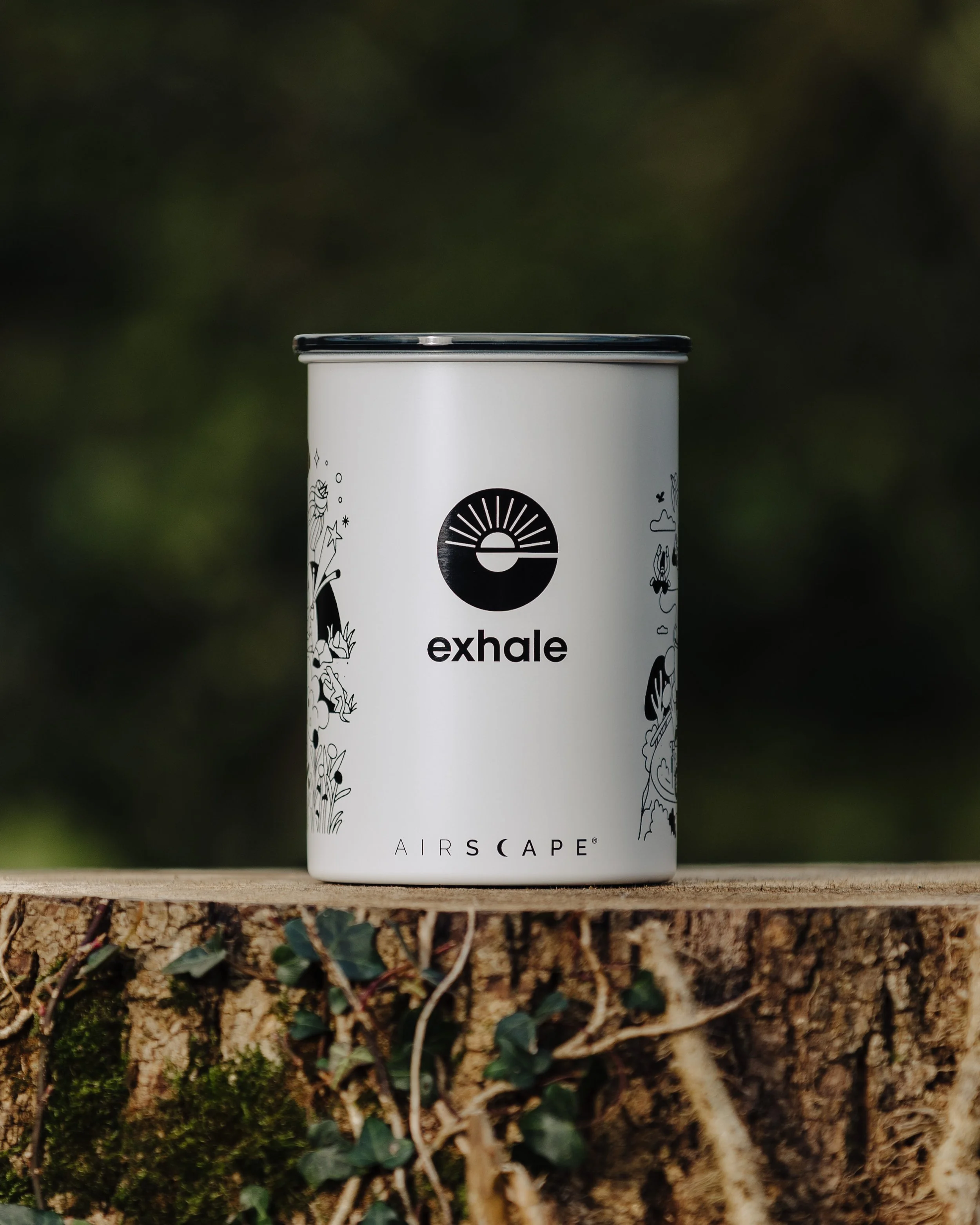 ExhaleAirscape_LiamMorley_Web-1.jpg