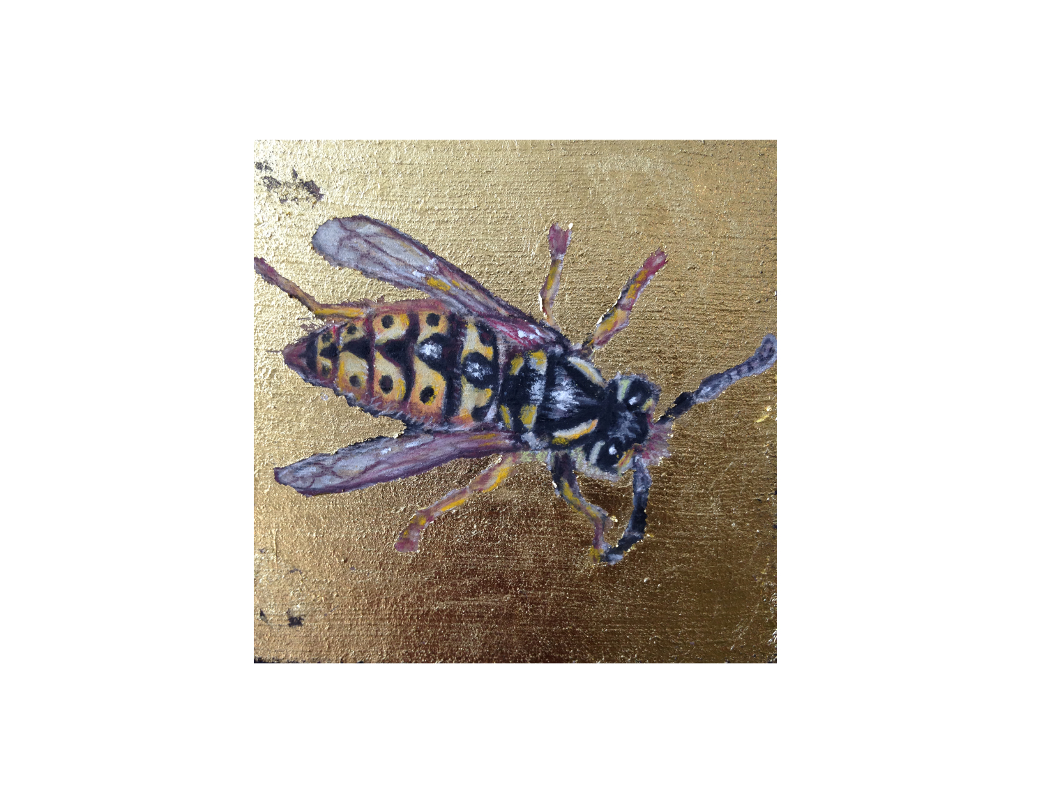 WASP