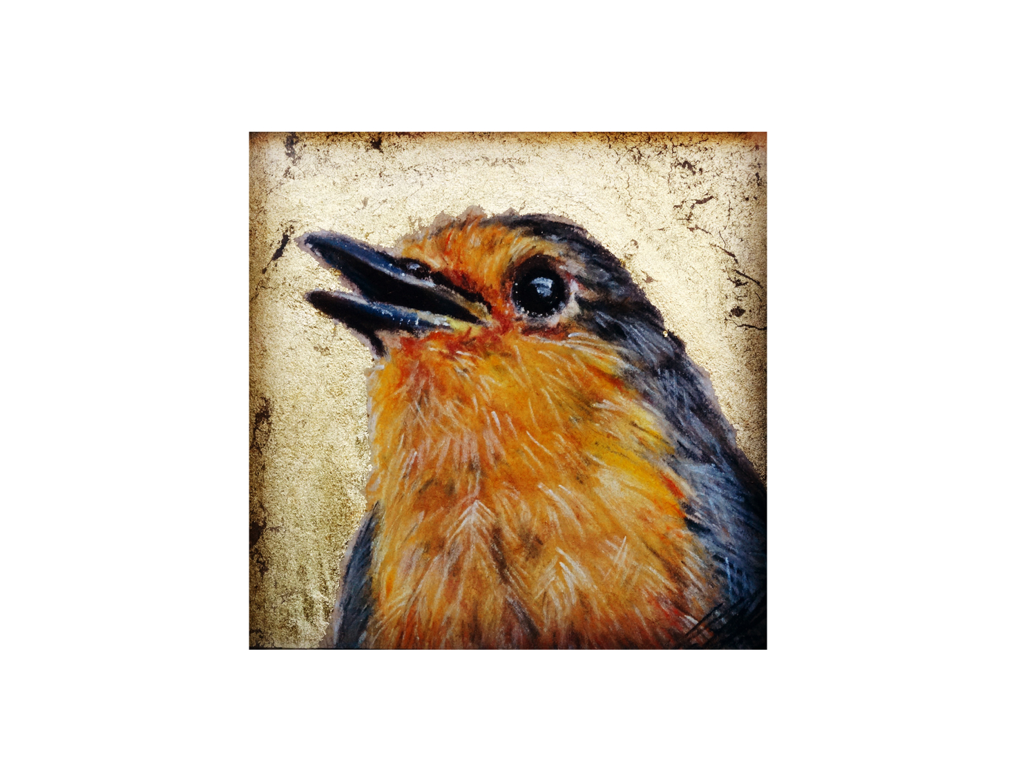 ROBIN