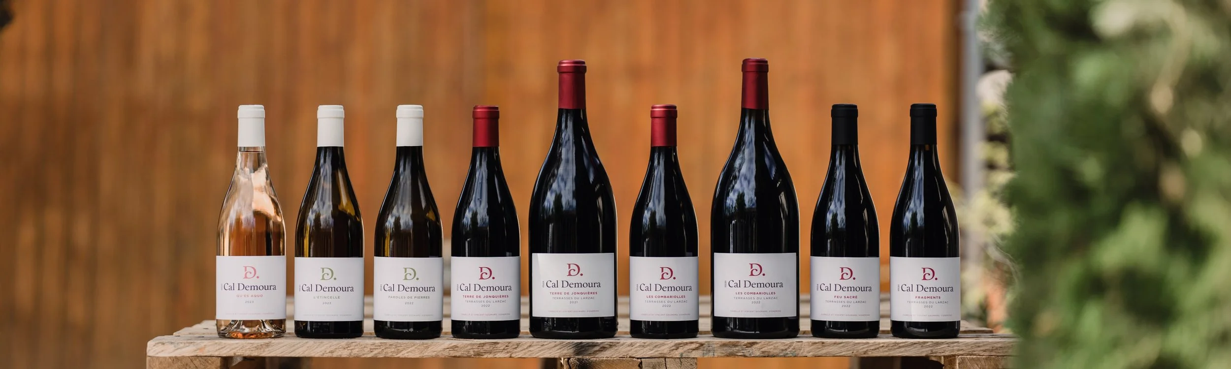 Cal-Demoura_Vins.jpg
