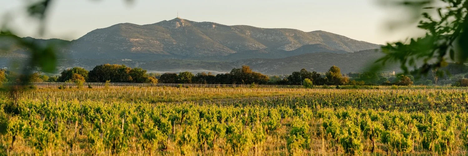 Cal Demoura - Domaine.jpg