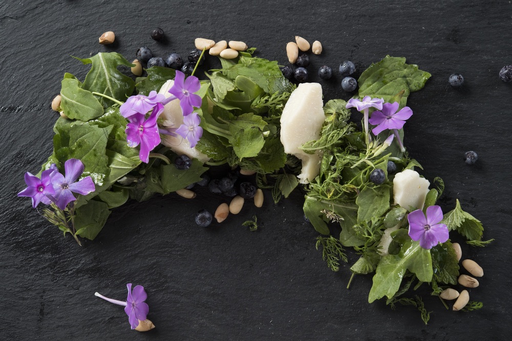 Forager's Salad