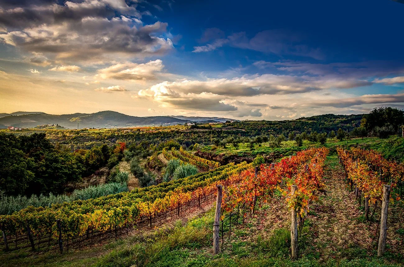 Culinary Adventure to Croatia!