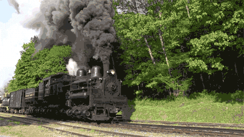 Steam Virginia GIF.gif