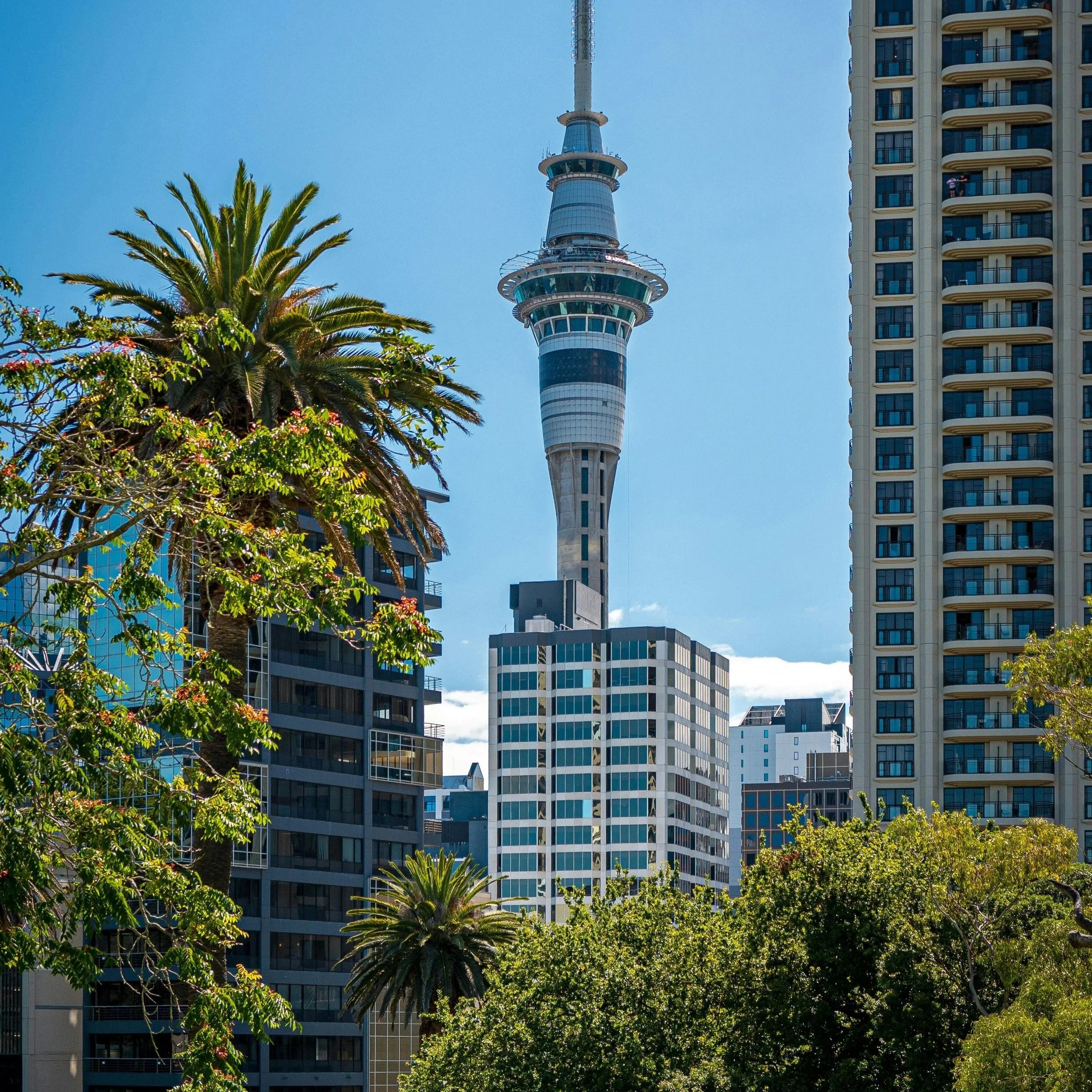 New Zealand is becoming one of the best places to study abroad