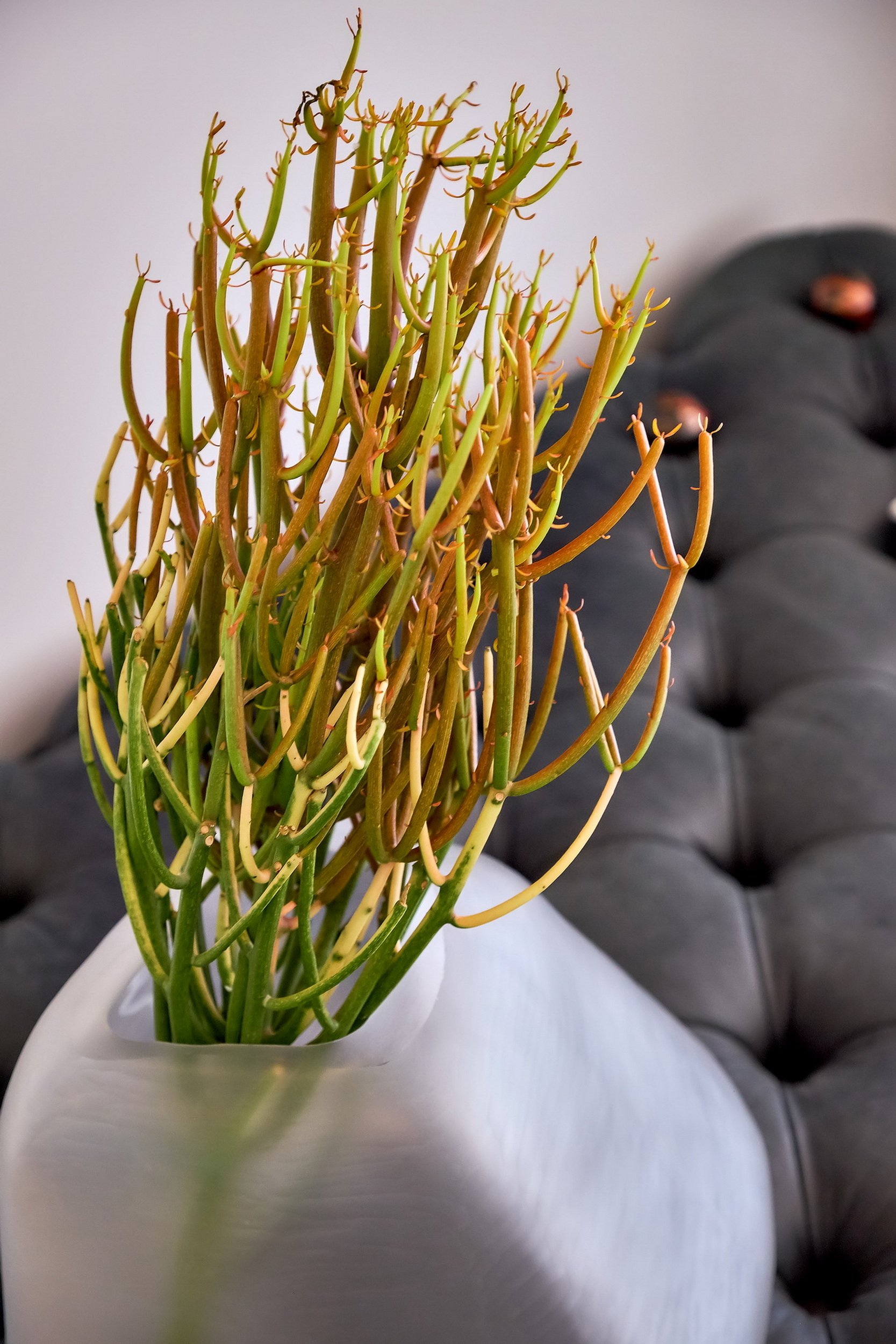 10 Degrees - Finals - Summersun H8.jpg