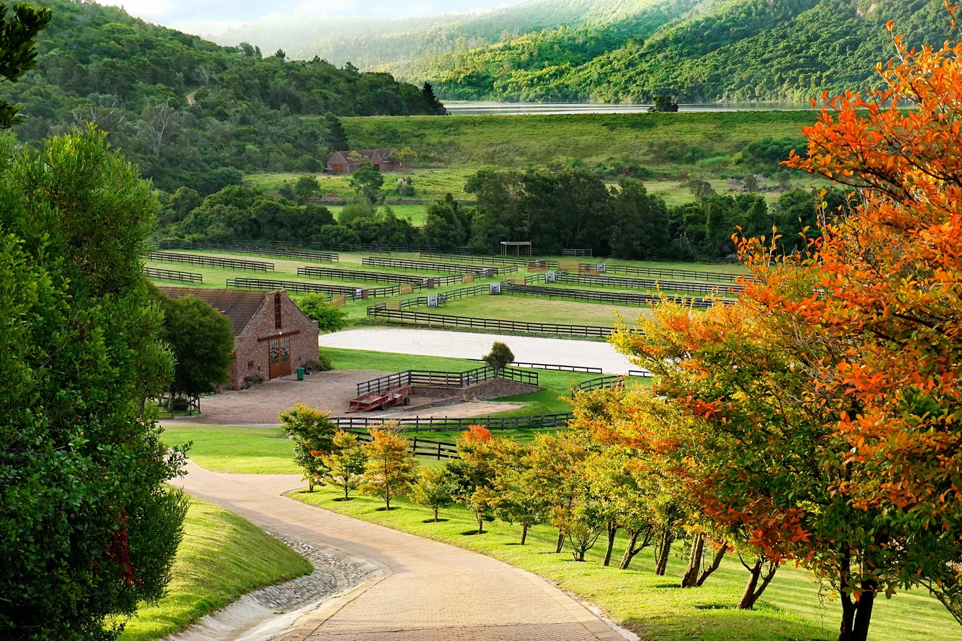 Set 1 Finals - Rory 23_1.jpg