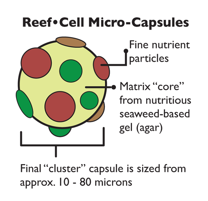 microcapsule.png