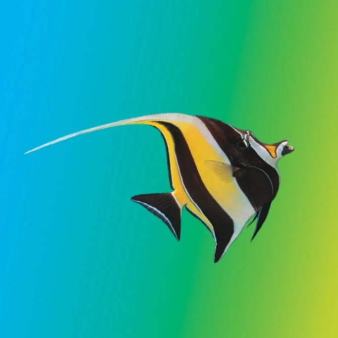 Vitamins, Minerals & Copper in Aquariums