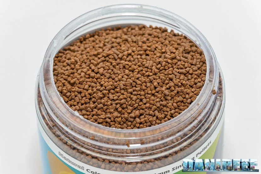 Dani Reef: New Life Spectrum Finally in Italy! (Italian)