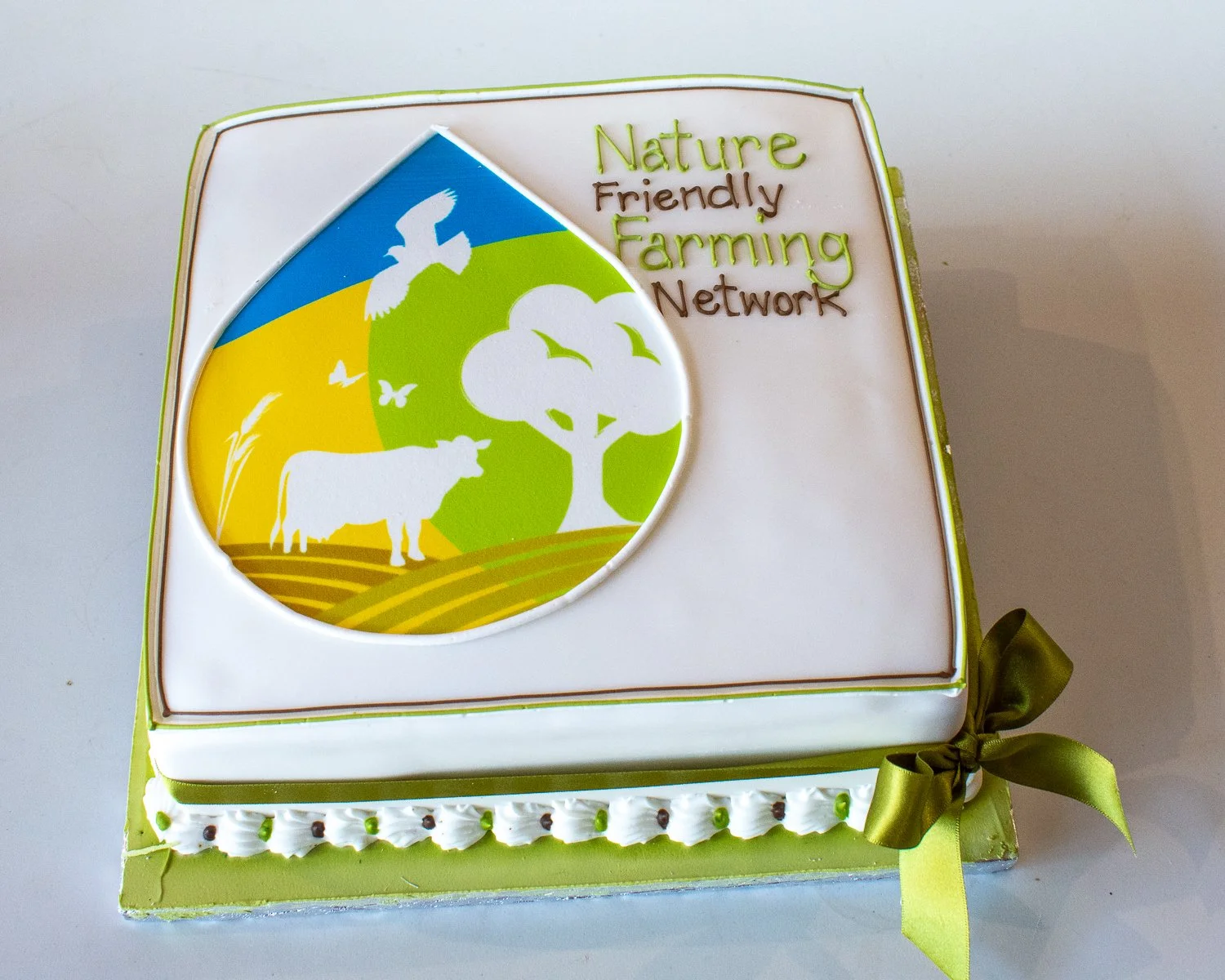 NFFN Meeting 2023-6-8-30.jpg