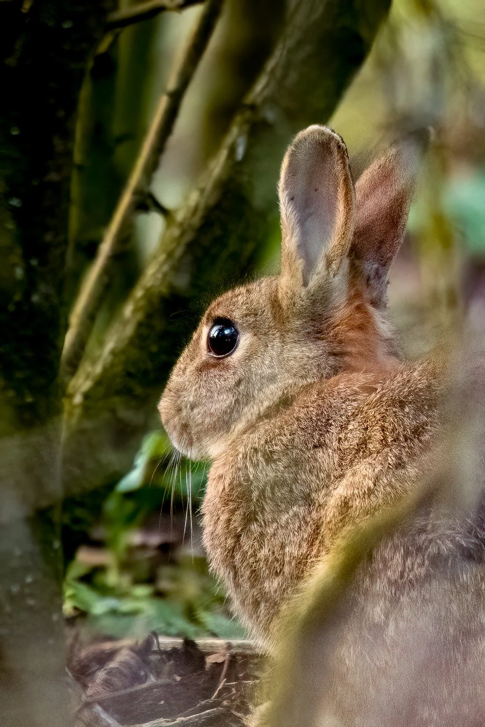 _PD12333-Edit.jpg (Copy)