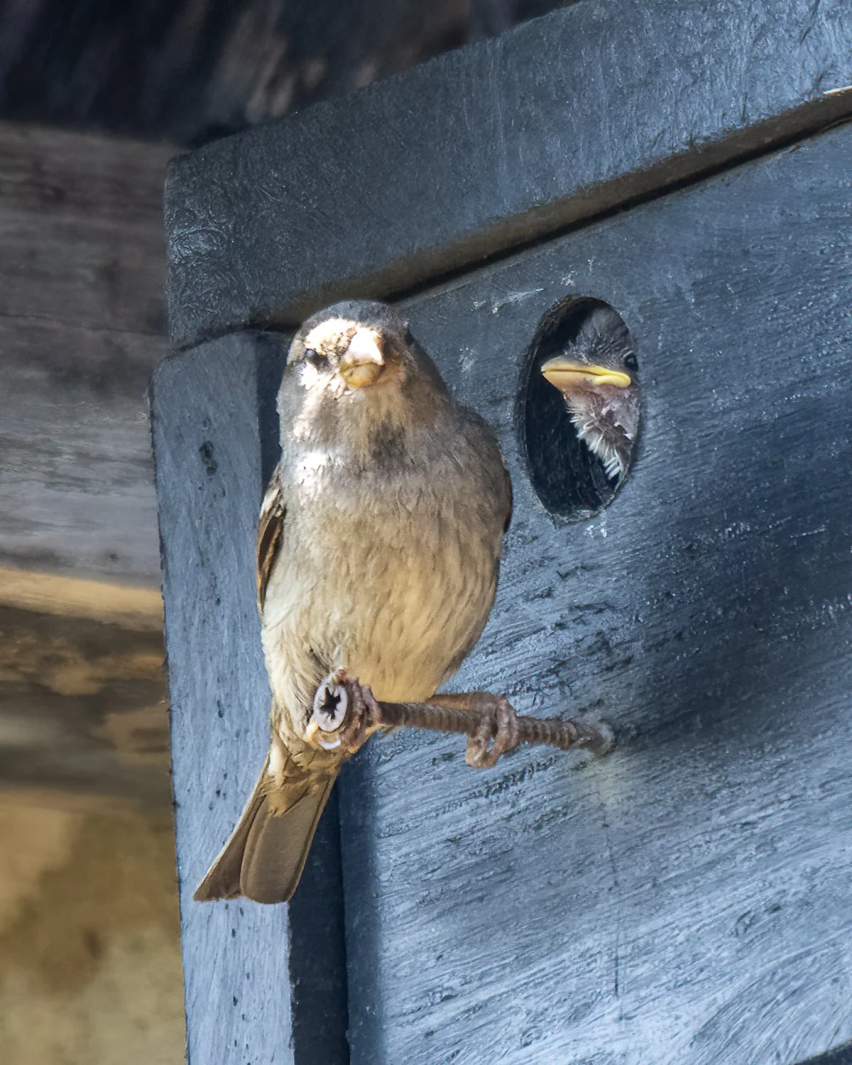 DSC_2842-Edit.jpg