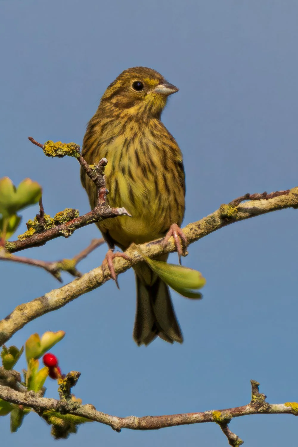 PZ8_2380-Edit.jpg