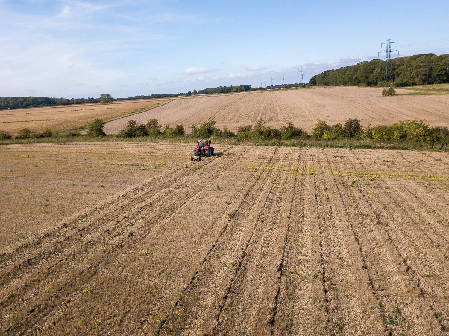DJI_0138.jpg