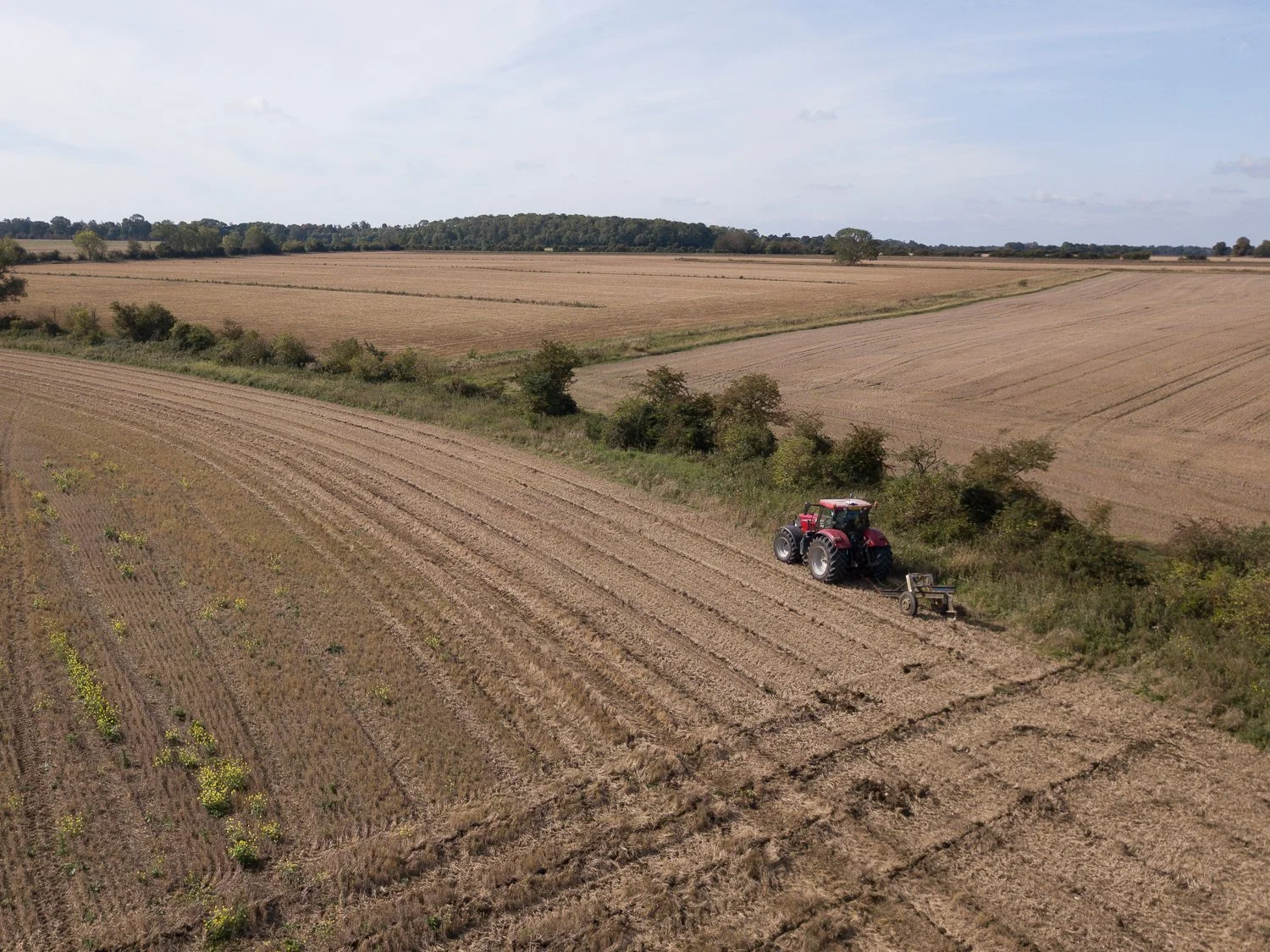 DJI_0143.jpg