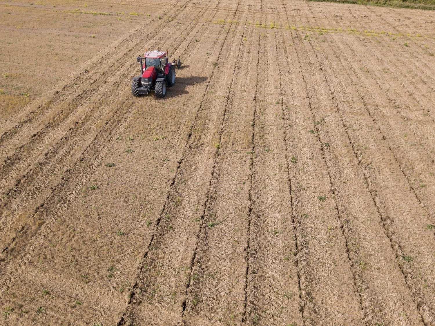 DJI_0150.jpg