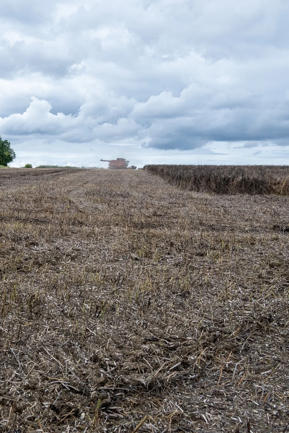 PDZ_3117.jpg