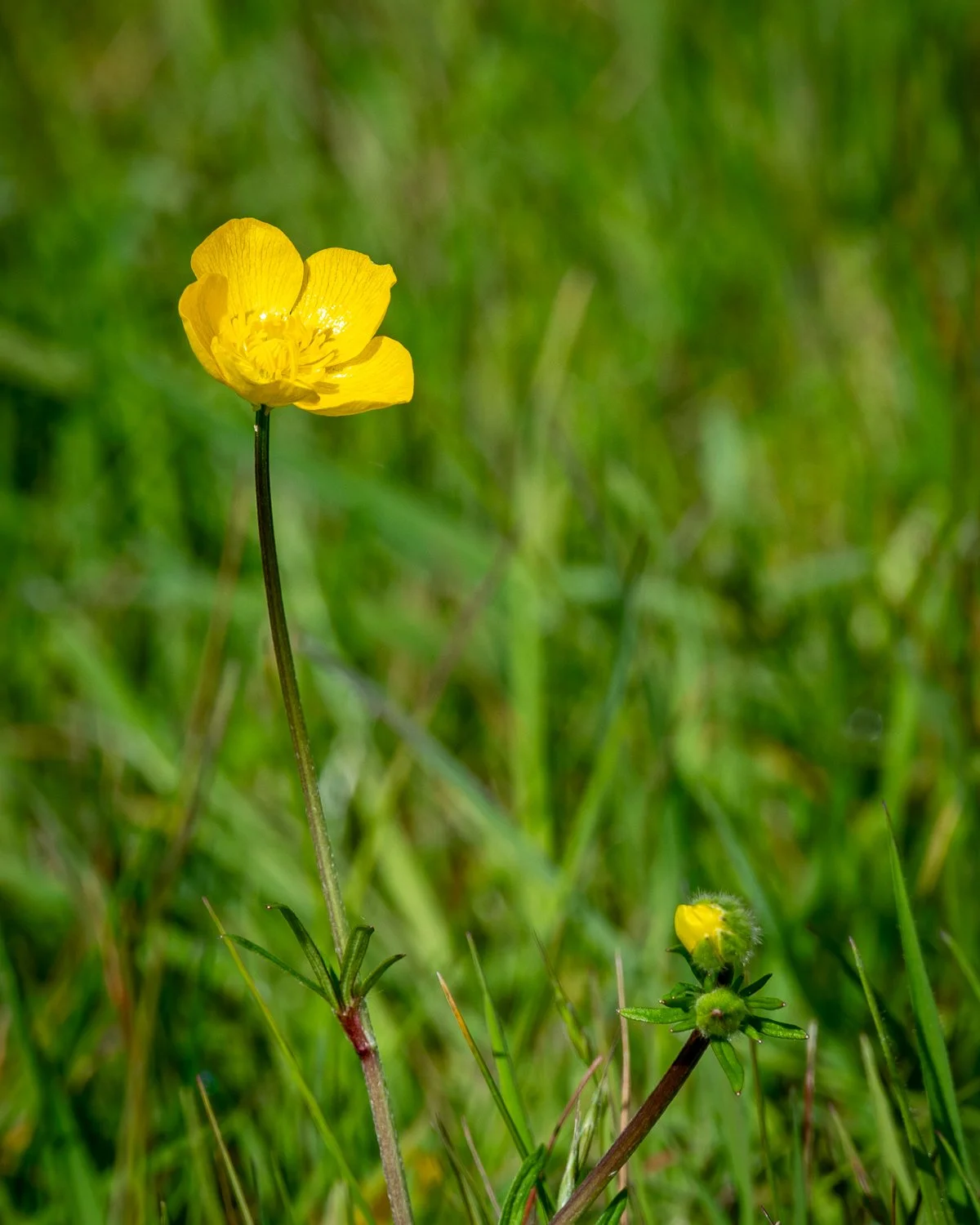 DSC_1128.jpg