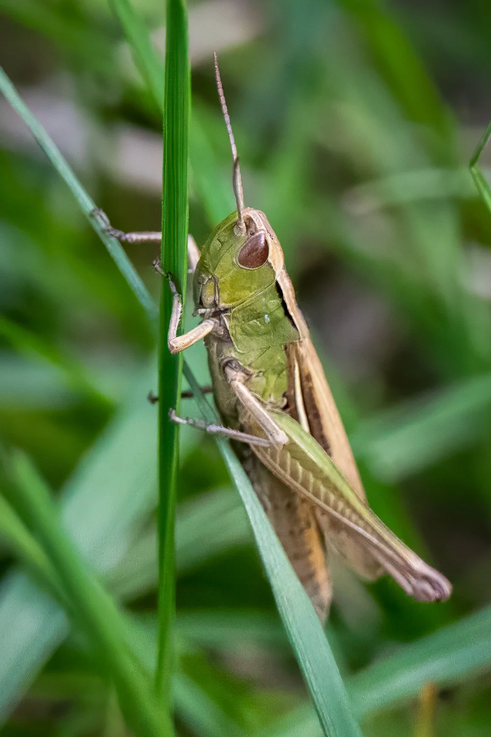 PDZ_1055-Edit.jpg