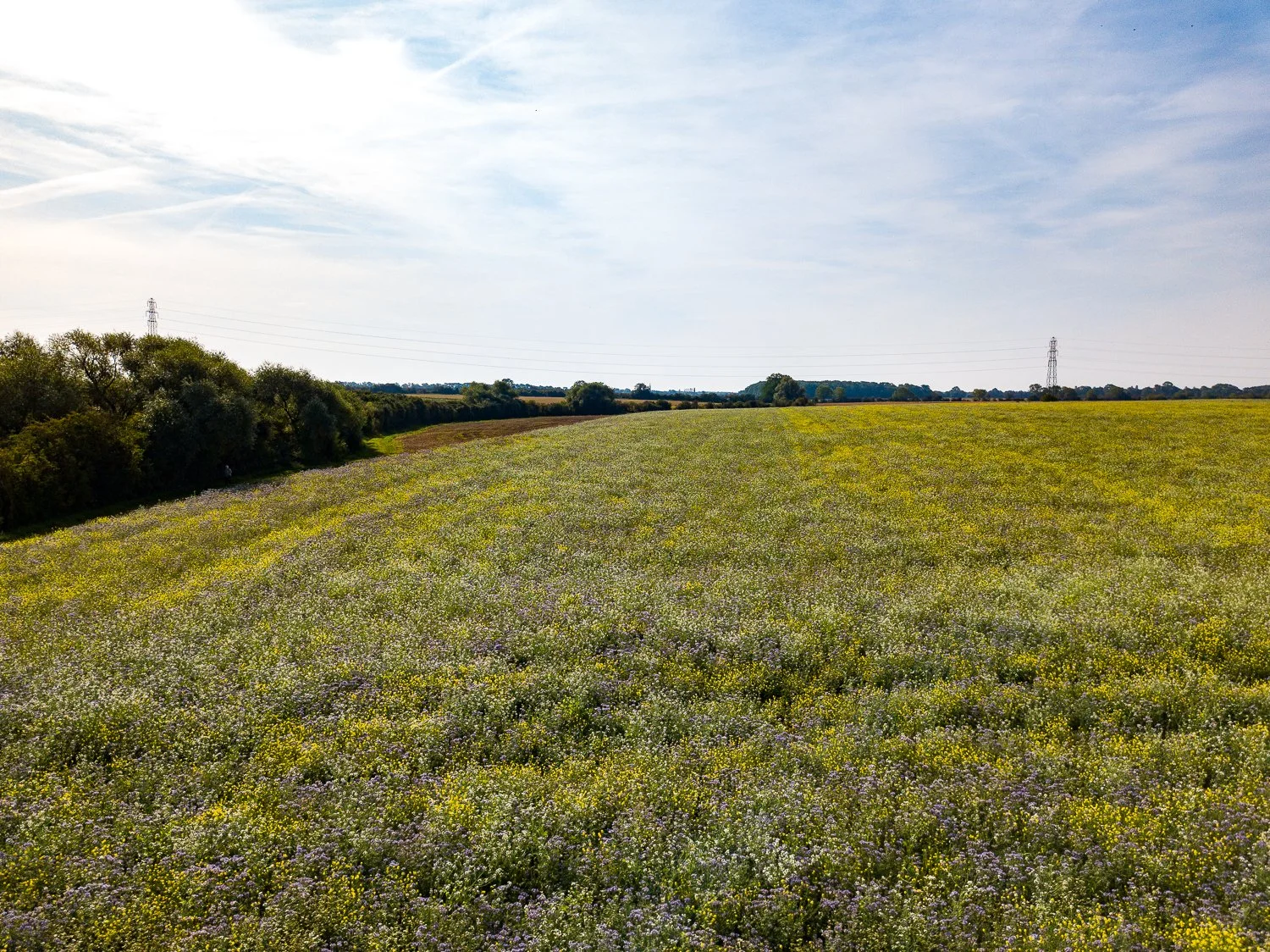 DJI_0120.jpg