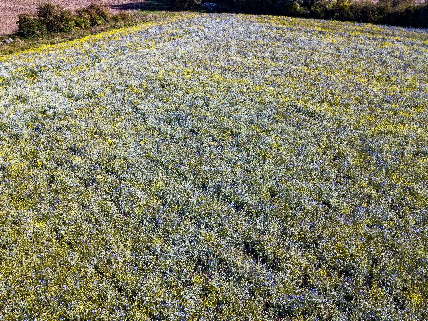 DJI_0128.jpg