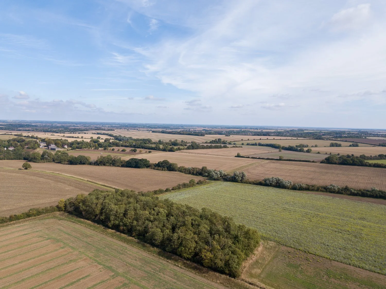 DJI_0169.jpg