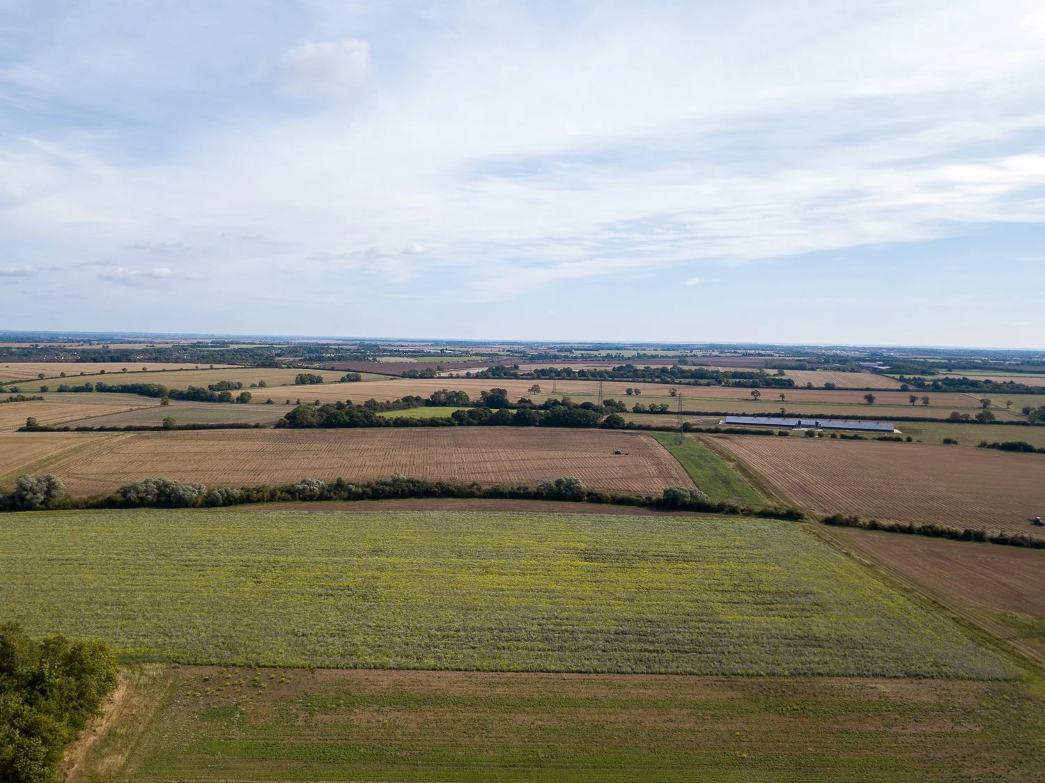 DJI_0170.jpg