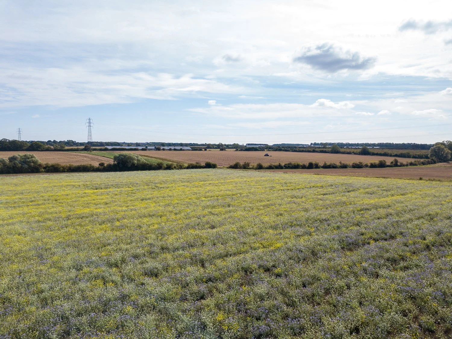 DJI_0185.jpg